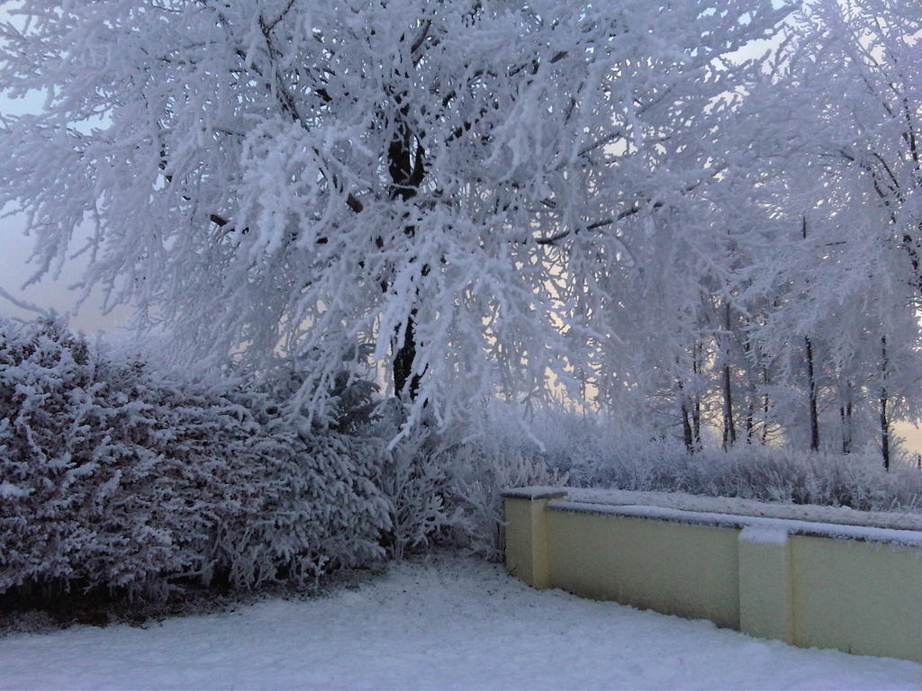 Ardarroch Cottage B&B Fassfern Exteriör bild